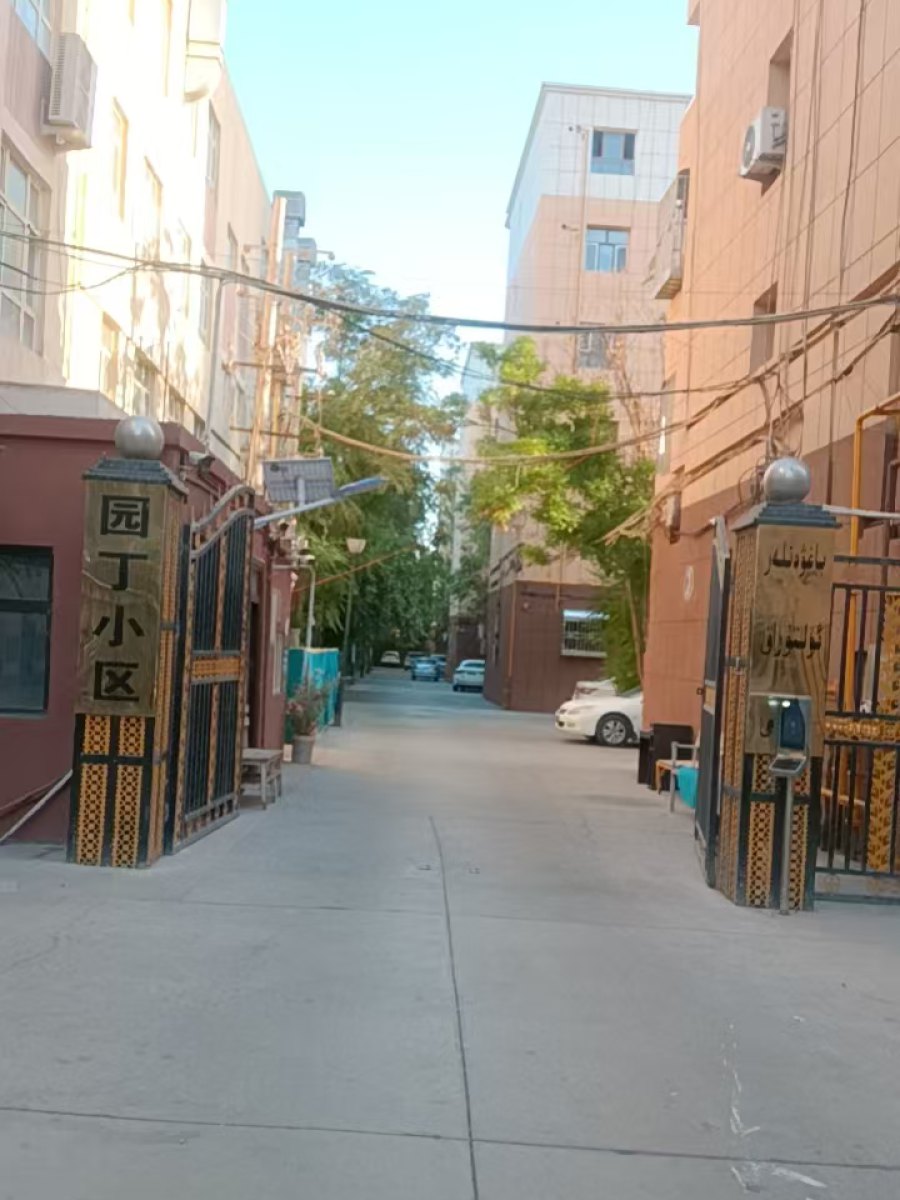 吐鲁番园丁小区 实拍图 2